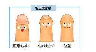 ��Ƥ����